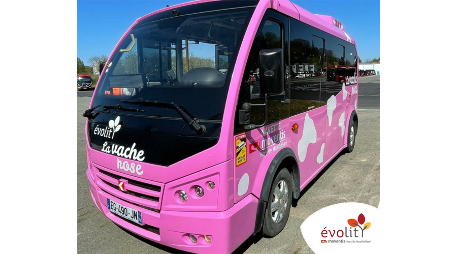 bus-evolity-vache-rose