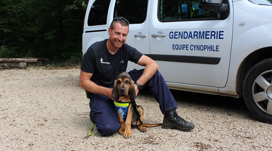 gendarmerie-chien-Slider